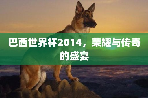 巴西世界杯2014，荣耀与传奇的盛宴
