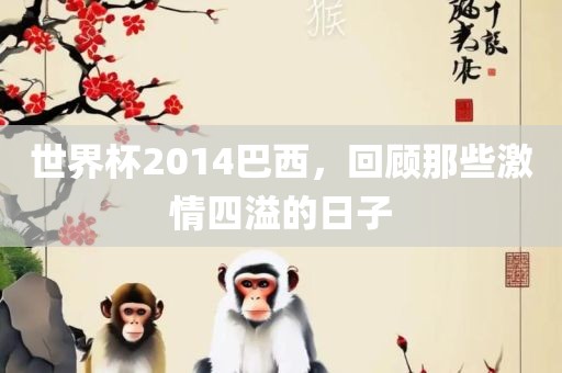 世界杯2014巴西，回顾那些激情四溢的日子