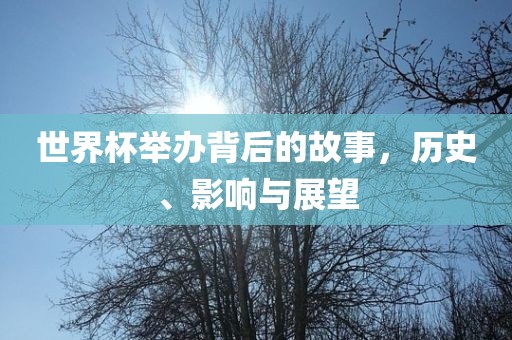 世界杯举办背后的故事，历史、影响与展望