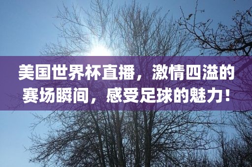 美国世界杯直播，激情四溢的赛场瞬间，感受足球的魅力！