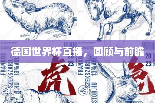 德国世界杯直播，回顾与前瞻