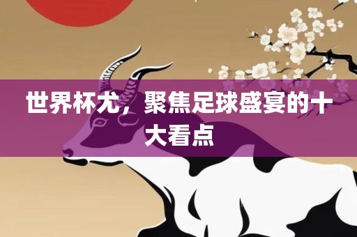 世界杯尤，聚焦足球盛宴的十大看点