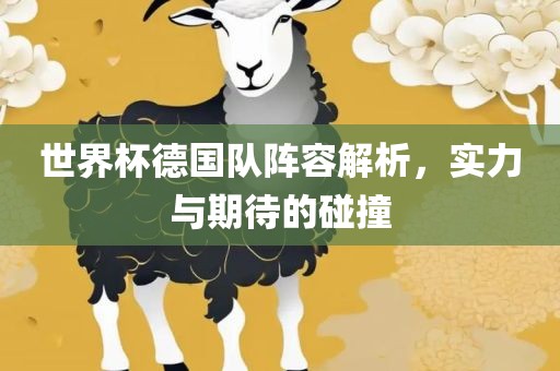世界杯德国队阵容解析，实力与期待的碰撞