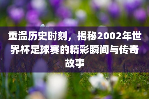 重温历史时刻，揭秘2002年世界杯足球赛的精彩瞬间与传奇故事
