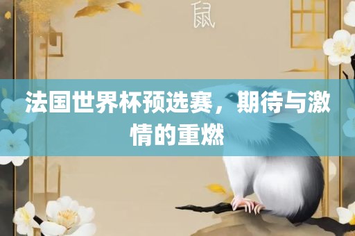 法国世界杯预选赛，期待与激情的重燃