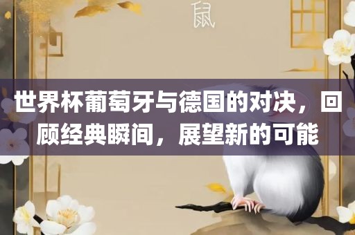 世界杯葡萄牙与德国的对决，回顾经典瞬间，展望新的可能