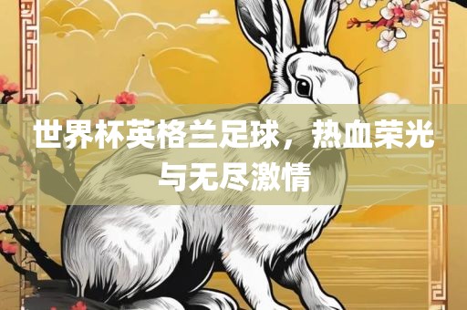 世界杯英格兰足球，热血荣光与无尽激情