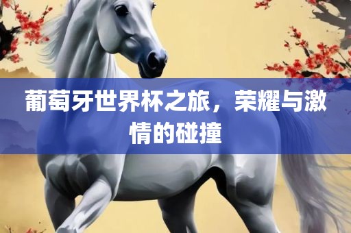 葡萄牙世界杯之旅，荣耀与激情的碰撞
