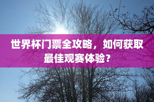 世界杯门票全攻略，如何获取最佳观赛体验？