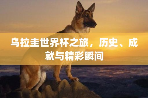 乌拉圭世界杯之旅，历史、成就与精彩瞬间