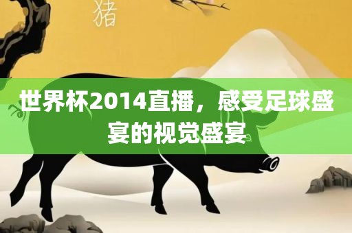 世界杯2014直播，感受足球盛宴的视觉盛宴
