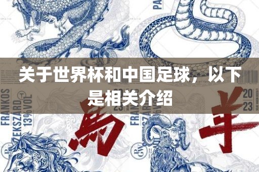 关于世界杯和中国足球，以下是相关介绍