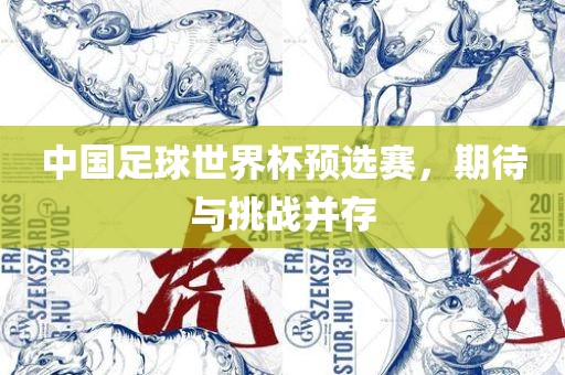 中国足球世界杯预选赛，期待与挑战并存