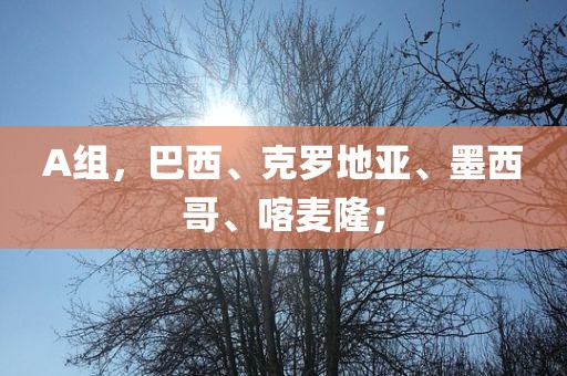 A组，巴西、克罗地亚、墨西哥、喀麦隆；
