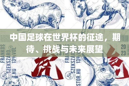 中国足球在世界杯的征途，期待、挑战与未来展望