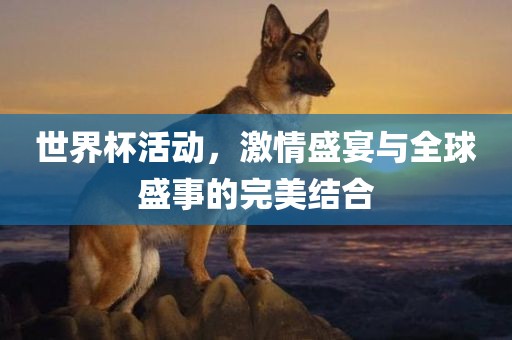世界杯活动，激情盛宴与全球盛事的完美结合