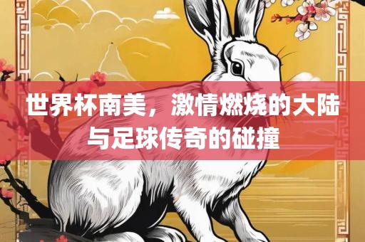世界杯南美，激情燃烧的大陆与足球传奇的碰撞
