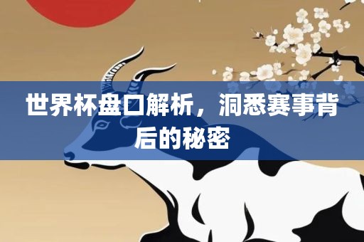 世界杯盘口解析，洞悉赛事背后的秘密