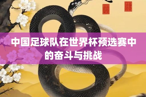 中国足球队在世界杯预选赛中的奋斗与挑战