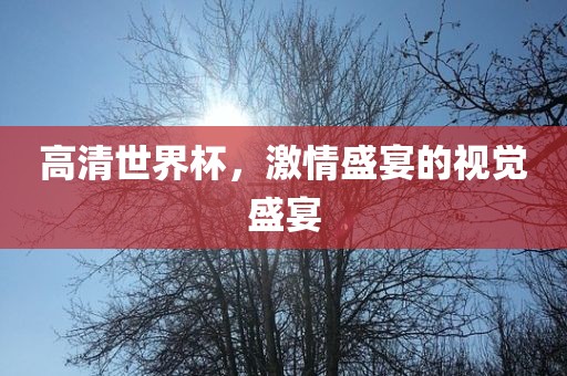 高清世界杯，激情盛宴的视觉盛宴