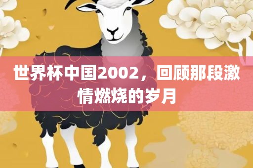 世界杯中国2002，回顾那段激情燃烧的岁月