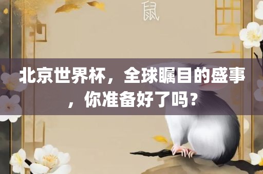 北京世界杯，全球瞩目的盛事，你准备好了吗？