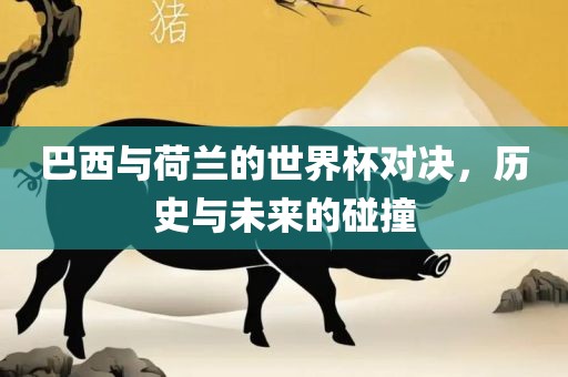 巴西与荷兰的世界杯对决，历史与未来的碰撞
