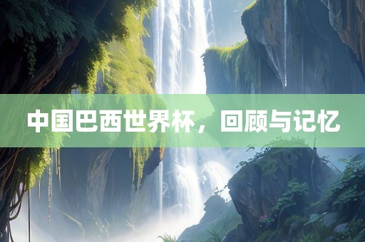 中国巴西世界杯，回顾与记忆