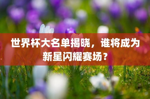 世界杯大名单揭晓，谁将成为新星闪耀赛场？