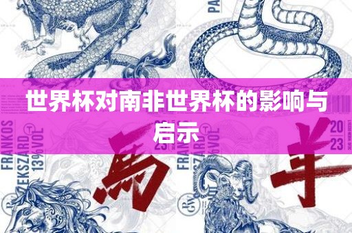 世界杯对南非世界杯的影响与启示