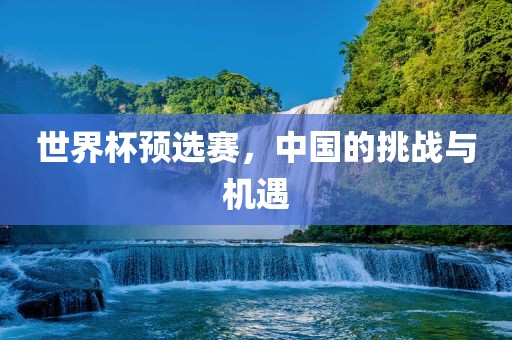 世界杯预选赛，中国的挑战与机遇