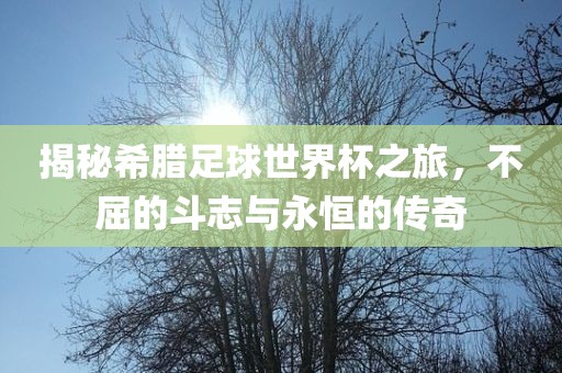 揭秘希腊足球世界杯之旅，不屈的斗志与永恒的传奇
