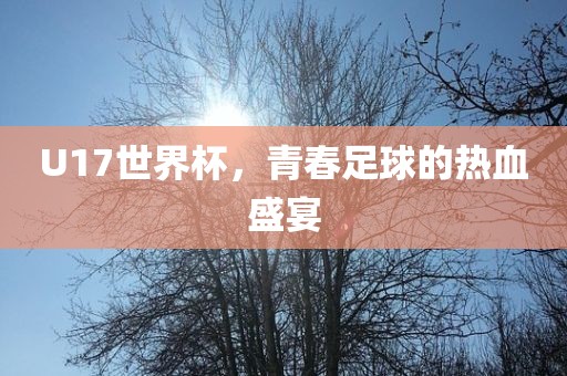 U17世界杯，青春足球的热血盛宴