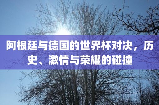 阿根廷与德国的世界杯对决，历史、激情与荣耀的碰撞