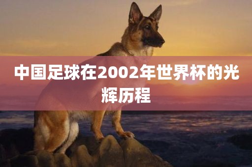 中国足球在2002年世界杯的光辉历程