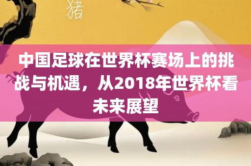 中国足球在世界杯赛场上的挑战与机遇，从2018年世界杯看未来展望