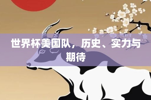世界杯美国队，历史、实力与期待