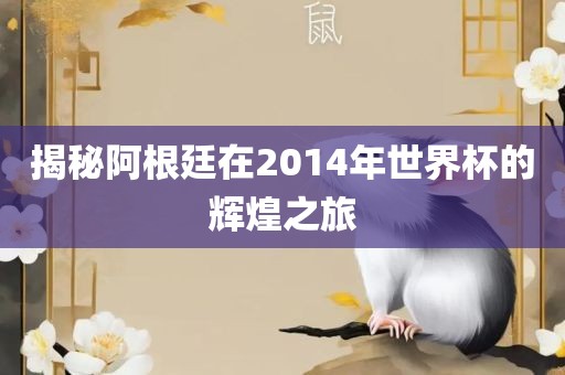 揭秘阿根廷在2014年世界杯的辉煌之旅