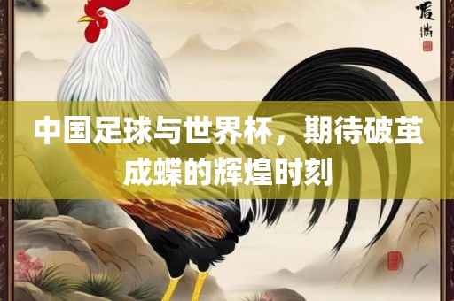 中国足球与世界杯，期待破茧成蝶的辉煌时刻