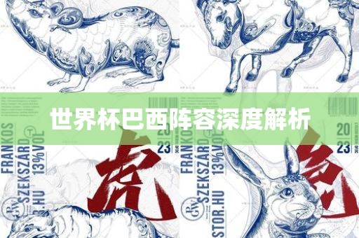 世界杯巴西阵容深度解析