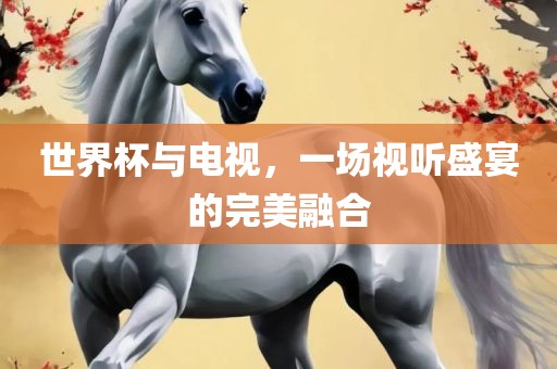 世界杯与电视，一场视听盛宴的完美融合