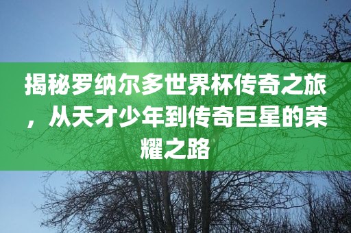 揭秘罗纳尔多世界杯传奇之旅，从天才少年到传奇巨星的荣耀之路