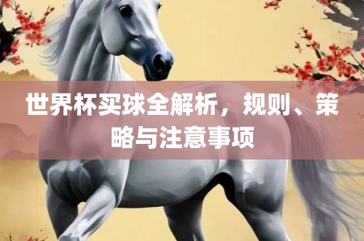 世界杯买球全解析，规则、策略与注意事项
