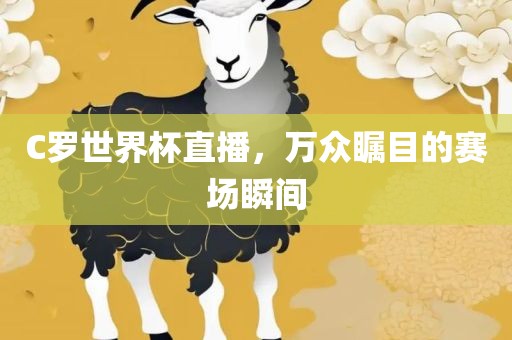 C罗世界杯直播，万众瞩目的赛场瞬间