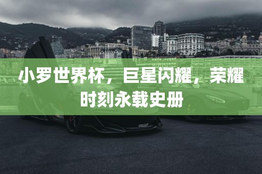 小罗世界杯，巨星闪耀，荣耀时刻永载史册