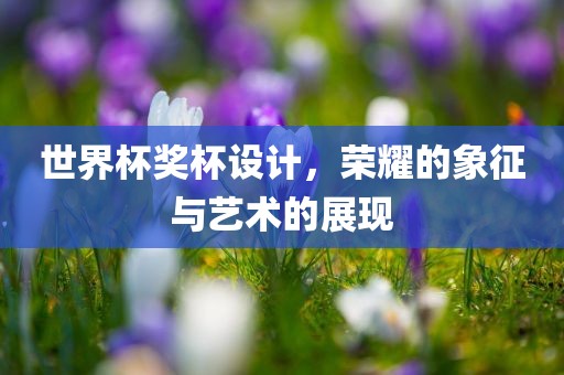 世界杯奖杯设计，荣耀的象征与艺术的展现