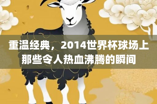 重温经典，2014世界杯球场上那些令人热血沸腾的瞬间