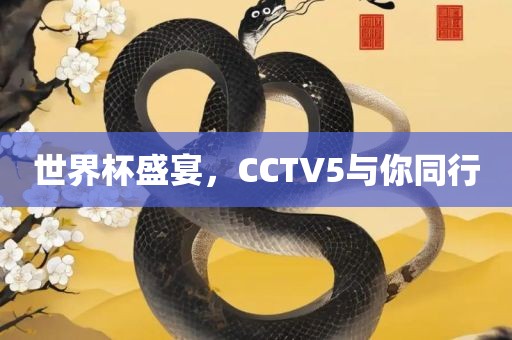 世界杯盛宴，CCTV5与你同行
