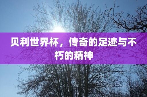 贝利世界杯，传奇的足迹与不朽的精神