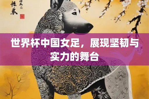 世界杯中国女足，展现坚韧与实力的舞台